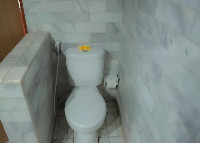 Hotel The Ariras Candidasa